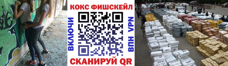COCAIN Fish Scale  купить  цена  Пересвет 