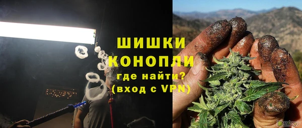 МДПВ Алексин