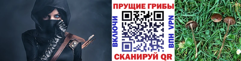 Псилоцибиновые грибы ЛСД  hydra ссылка  Пересвет  где найти  